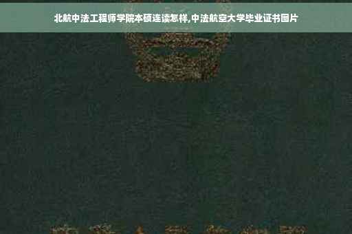 北航中法工程师学院本硕连读怎样,中法航空大学毕业证书图片