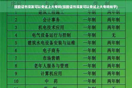 技能证书没发可以免试上大专吗(技能证书没发可以免试上大专吗知乎)