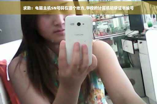 求助：电脑主机SN号码在哪个地方,学校的计算机初级证书编号