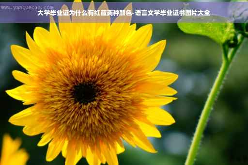 大学毕业证为什么有红蓝两种颜色-语言文学毕业证书图片大全
