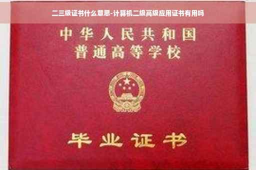 二三级证书什么意思-计算机二级高级应用证书有用吗
