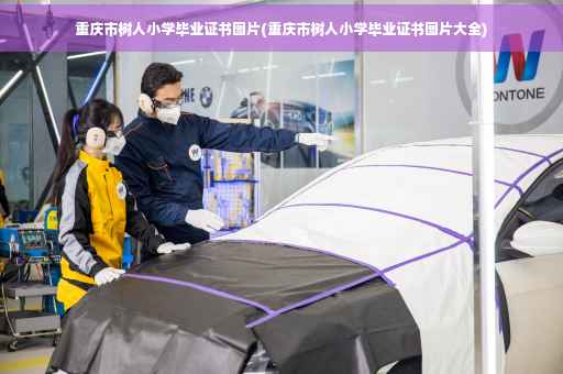 重庆市树人小学毕业证书图片(重庆市树人小学毕业证书图片大全)