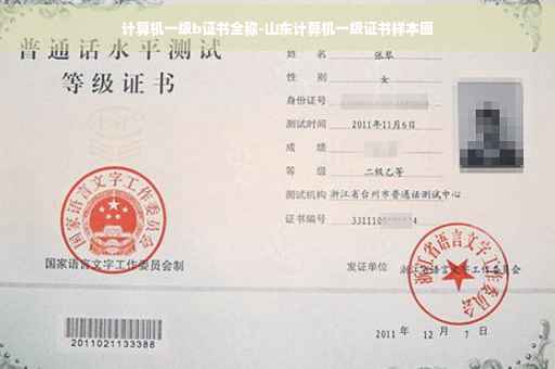 计算机一级b证书全称-山东计算机一级证书样本图