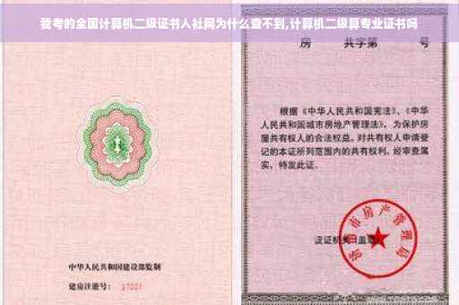 我考的全国计算机二级证书人社网为什么查不到,计算机二级算专业证书吗