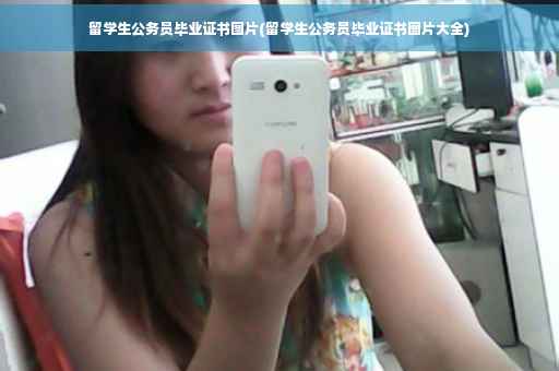 留学生公务员毕业证书图片(留学生公务员毕业证书图片大全)