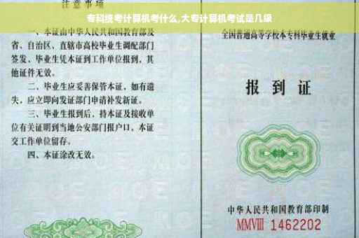 专科统考计算机考什么,大专计算机考试是几级