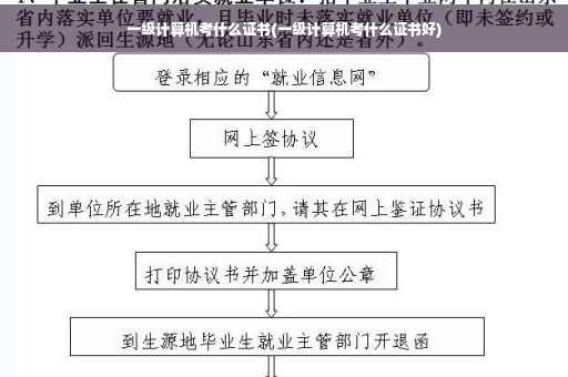 一级计算机考什么证书(一级计算机考什么证书好)