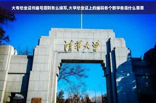 大专毕业证书编号原则怎么填写,大学毕业证上的编码各个数字各是什么意思