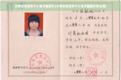 大专毕业证书个人电子版照片(大专毕业证书个人电子版照片怎么弄)