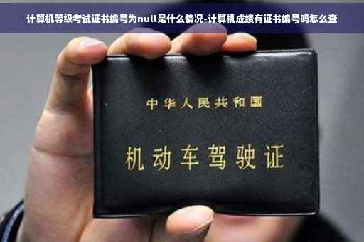 计算机等级考试证书编号为null是什么情况-计算机成绩有证书编号吗怎么查