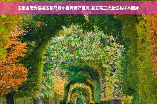 安徽省无为县襄安镇马塘小区有房产证吗,襄安高三毕业证书样本图片
