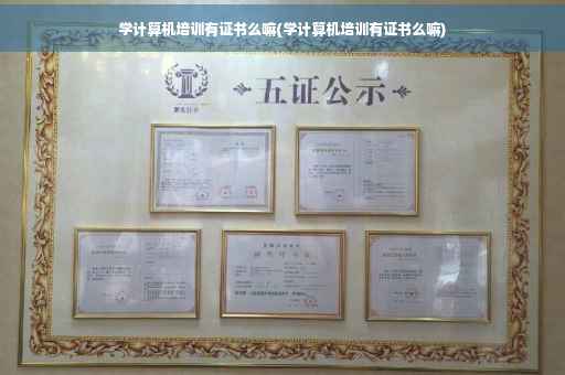 学计算机培训有证书么嘛(学计算机培训有证书么嘛)