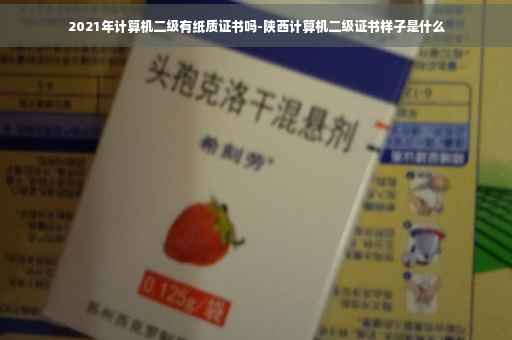 2021年计算机二级有纸质证书吗-陕西计算机二级证书样子是什么