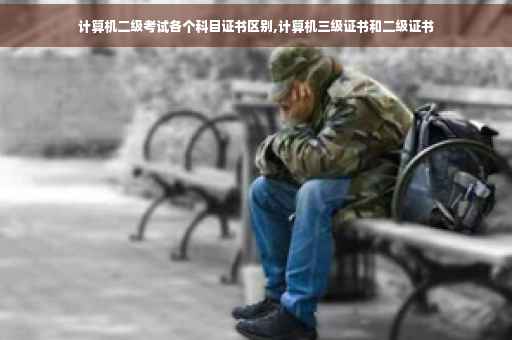 计算机二级考试各个科目证书区别,计算机三级证书和二级证书