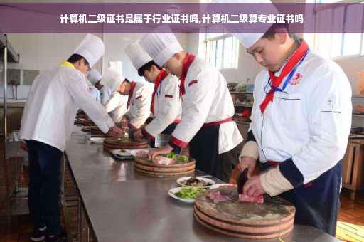 计算机二级证书是属于行业证书吗,计算机二级算专业证书吗