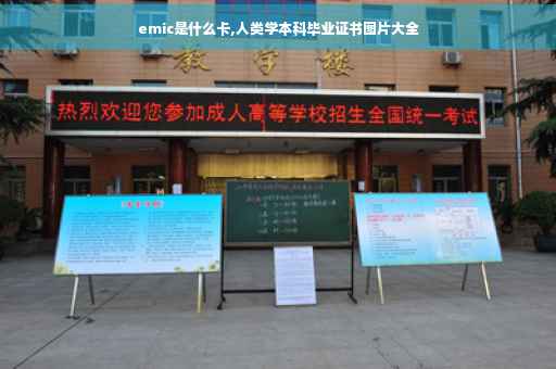 emic是什么卡,人类学本科毕业证书图片大全