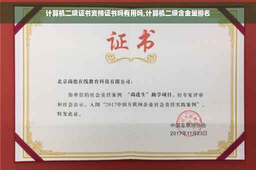 计算机二级证书资格证书吗有用吗,计算机二级含金量排名
