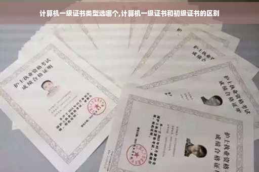 计算机一级证书类型选哪个,计算机一级证书和初级证书的区别