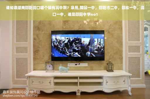 谁知道湖南邵阳洞口哪个镇有高中啊？急用,隆回一中，邵阳市二中，邵东一中，洞口一中，谁是邵阳中学no1