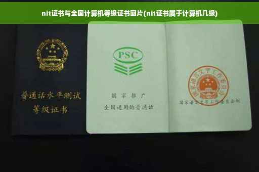 nit证书与全国计算机等级证书图片(nit证书属于计算机几级)