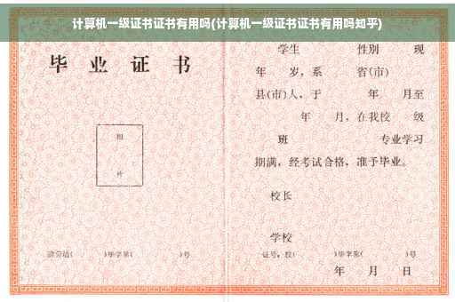 计算机一级证书证书有用吗(计算机一级证书证书有用吗知乎)