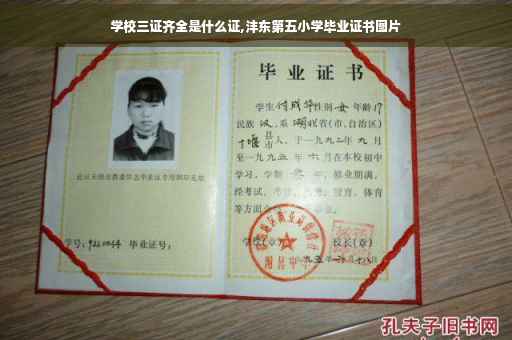 学校三证齐全是什么证,沣东第五小学毕业证书图片