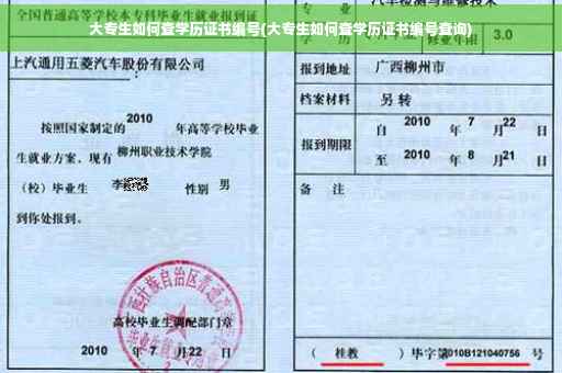 大专生如何查学历证书编号(大专生如何查学历证书编号查询)