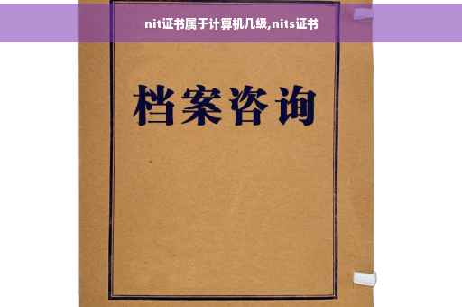 nit证书属于计算机几级,nits证书