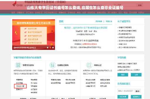 山东大专学历证书编号怎么查询,应届生怎么查毕业证编号