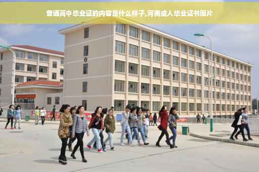 普通高中毕业证的内容是什么样子,河南成人毕业证书图片