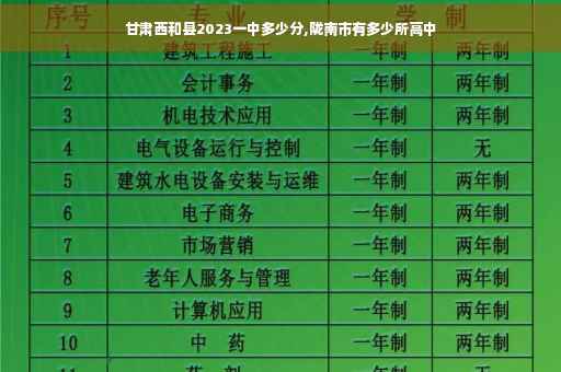 甘肃西和县2023一中多少分,陇南市有多少所高中