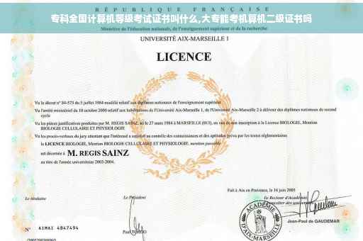 专科全国计算机等级考试证书叫什么,大专能考机算机二级证书吗