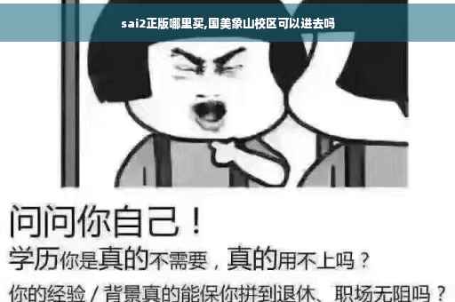 sai2正版哪里买,国美象山校区可以进去吗