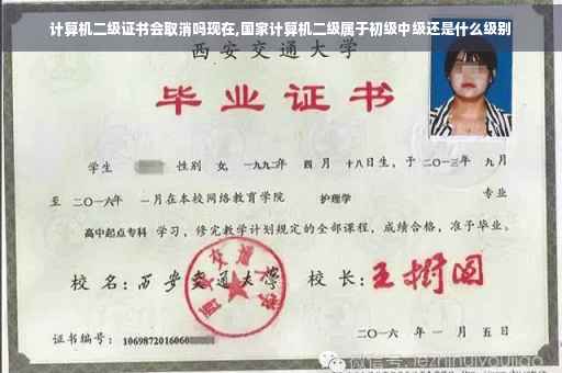 计算机二级证书会取消吗现在,国家计算机二级属于初级中级还是什么级别