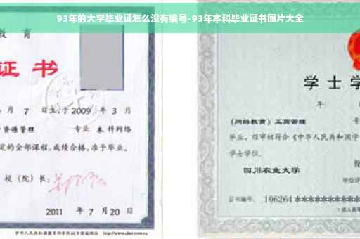 93年的大学毕业证怎么没有编号-93年本科毕业证书图片大全
