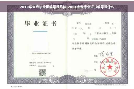 2010年大专毕业证编号是几位-2001大专毕业证书编号是什么