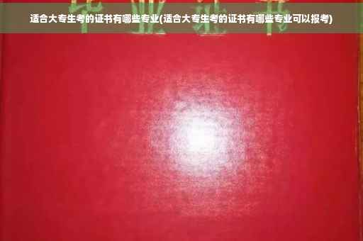 适合大专生考的证书有哪些专业(适合大专生考的证书有哪些专业可以报考)
