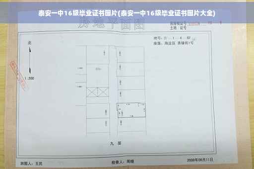 泰安一中16级毕业证书图片(泰安一中16级毕业证书图片大全)