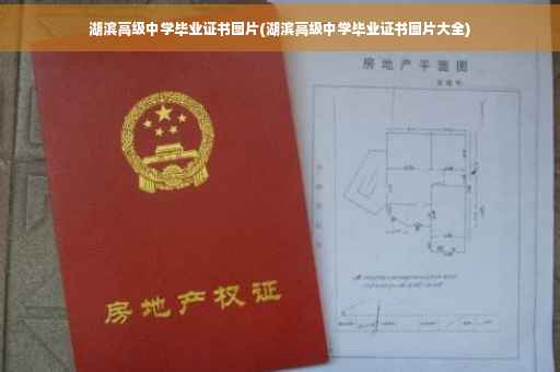 湖滨高级中学毕业证书图片(湖滨高级中学毕业证书图片大全)