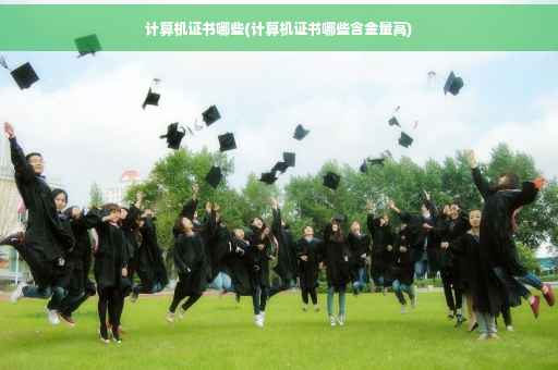计算机证书哪些(计算机证书哪些含金量高)