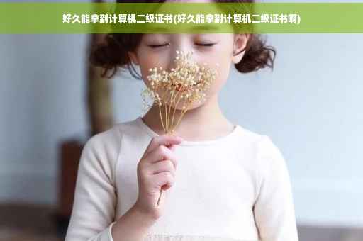 好久能拿到计算机二级证书(好久能拿到计算机二级证书啊)