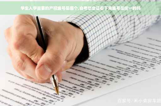 学生入学需要的产权编号是哪个,自考毕业证右下角编号是统一的吗