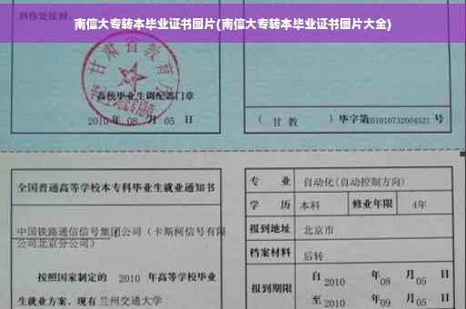 南信大专转本毕业证书图片(南信大专转本毕业证书图片大全)