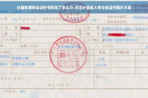 计算机等级证证件号码忘了怎么办-河北计算机大专毕业证书图片大全