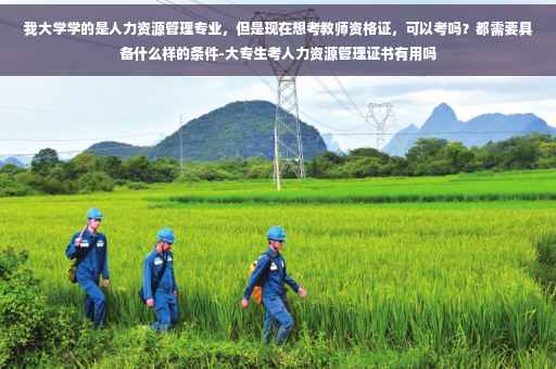 我大学学的是人力资源管理专业，但是现在想考教师资格证，可以考吗？都需要具备什么样的条件-大专生考人力资源管理证书有用吗