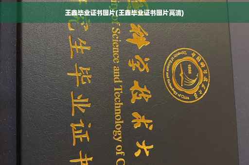 王鑫毕业证书图片(王鑫毕业证书图片高清)