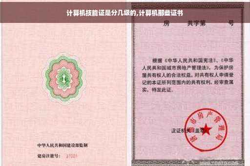 计算机技能证是分几级的,计算机那些证书