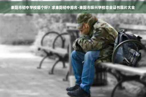耒阳市初中学校哪个好？求耒阳初中排名-耒阳市振兴学校毕业证书图片大全