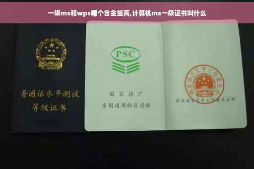 一级ms和wps哪个含金量高,计算机ms一级证书叫什么