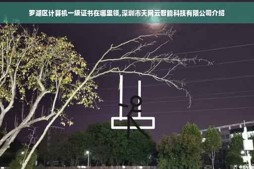 罗湖区计算机一级证书在哪里领,深圳市天网云智能科技有限公司介绍